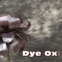 Company Profile Image3